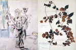 Filippo de Pisis botanico flâneur. L’erbario ritrovato: fiori collezionati, fiori dipinti